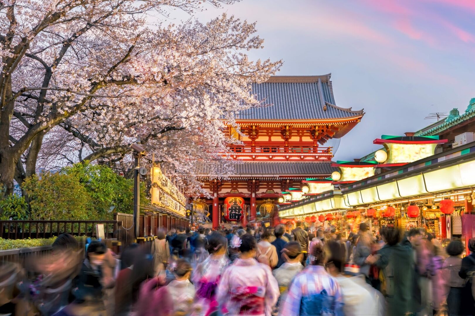 De Tokyo à Osaka - 18/25 ans