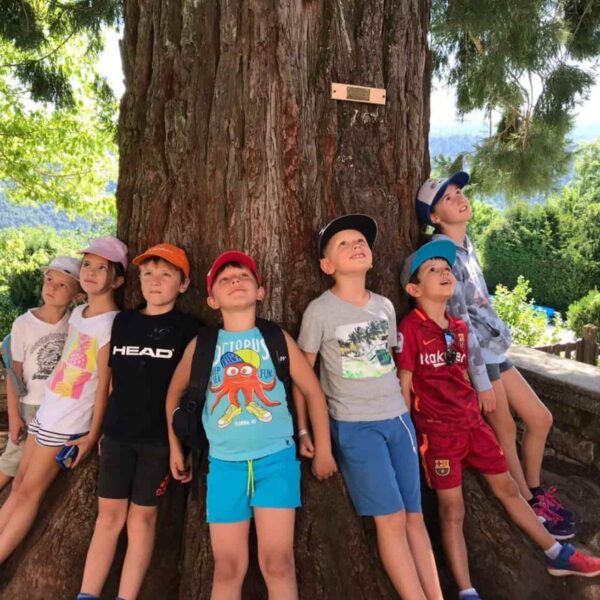 Enfants observant un arbre remarquable pendant une colonie de vacances nature.