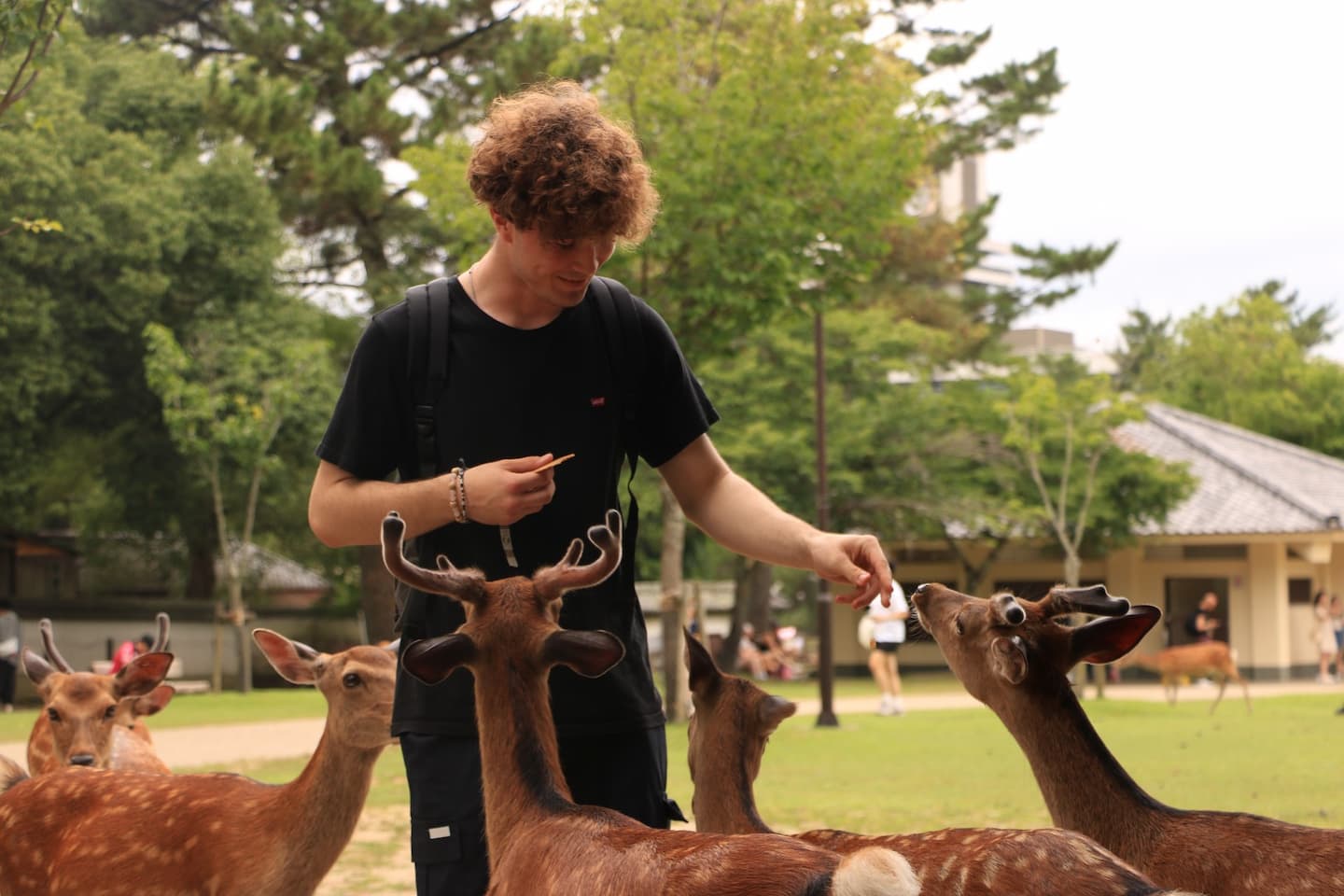 De Tokyo à Osaka