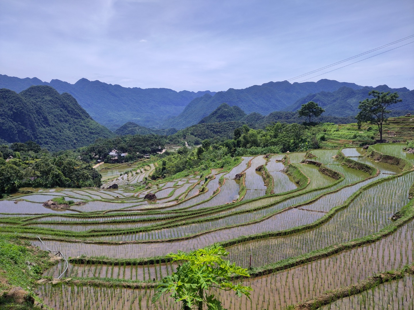 Vietnam
