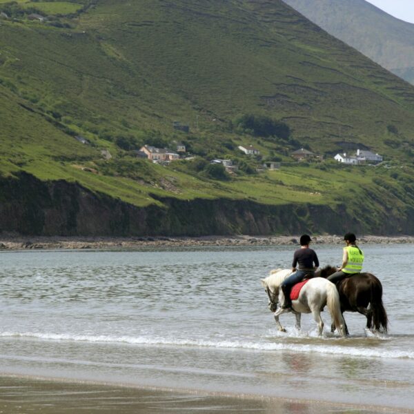 Immersion totale chez des propriétaires de chevaux