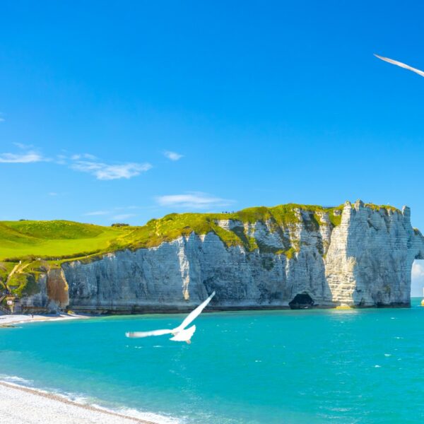 Learn English or French with a host teacher in France