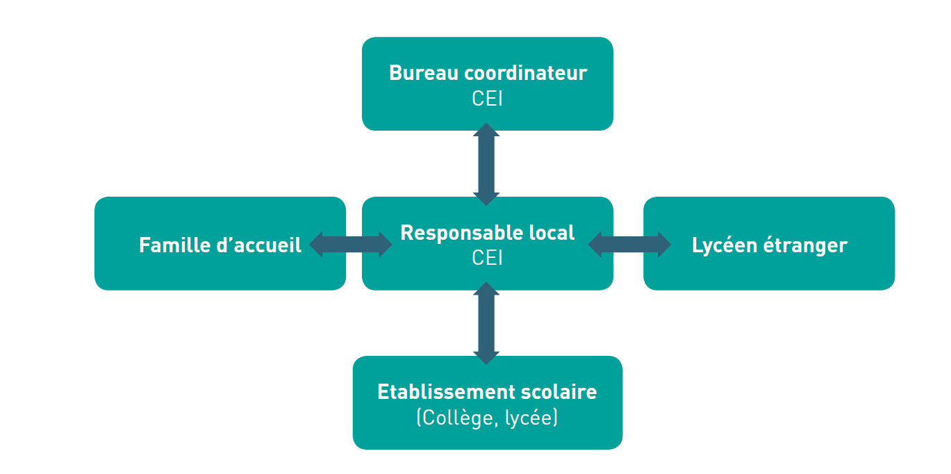 Capture-schema-role-RL-CEI schéma du rôle du responsable local CEI