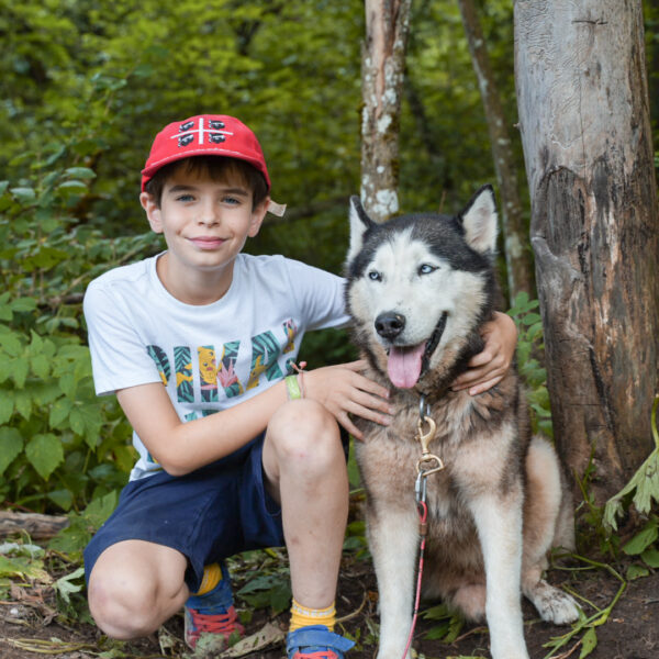 Chiens des montagnes - 12 jours
