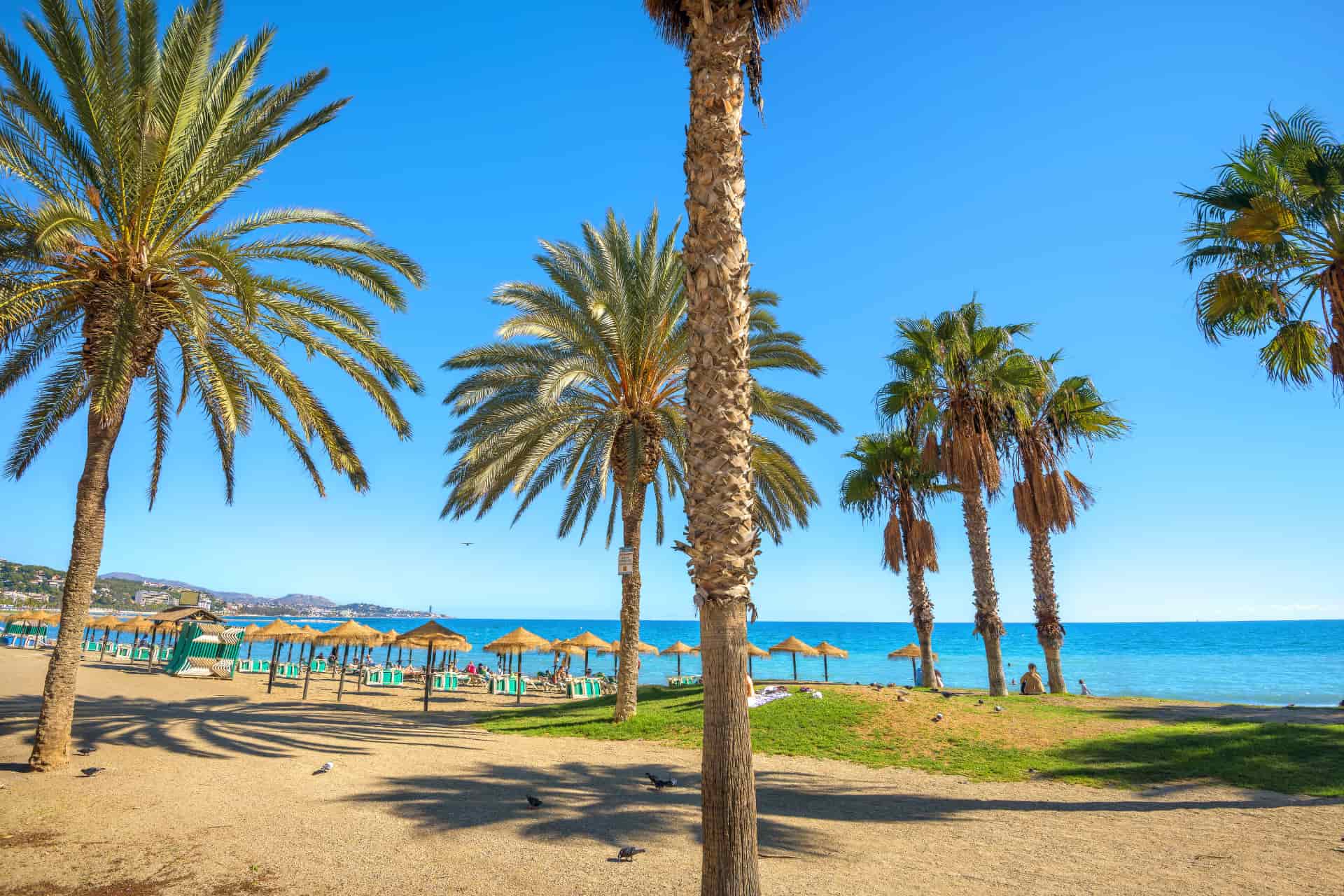 Entre les cours, profitez du littoral pendant votre séjour linguistique à Málaga.