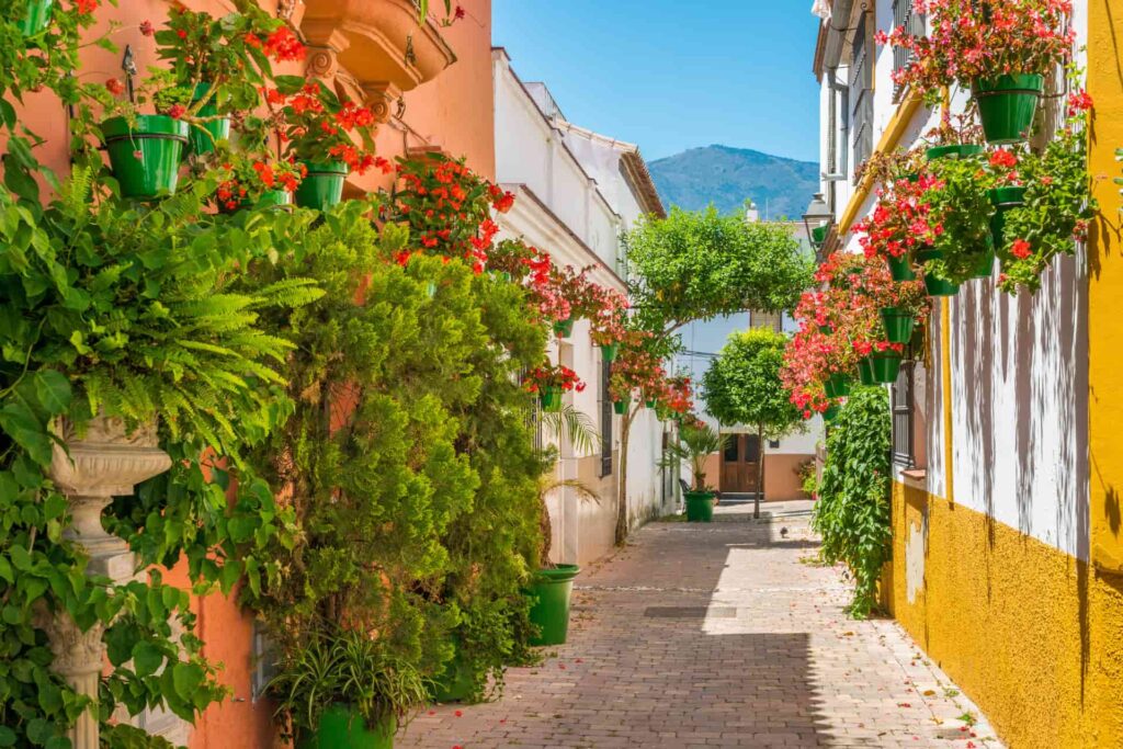 Rue fleurie de Malaga pendant un séjour linguistique en Espagne