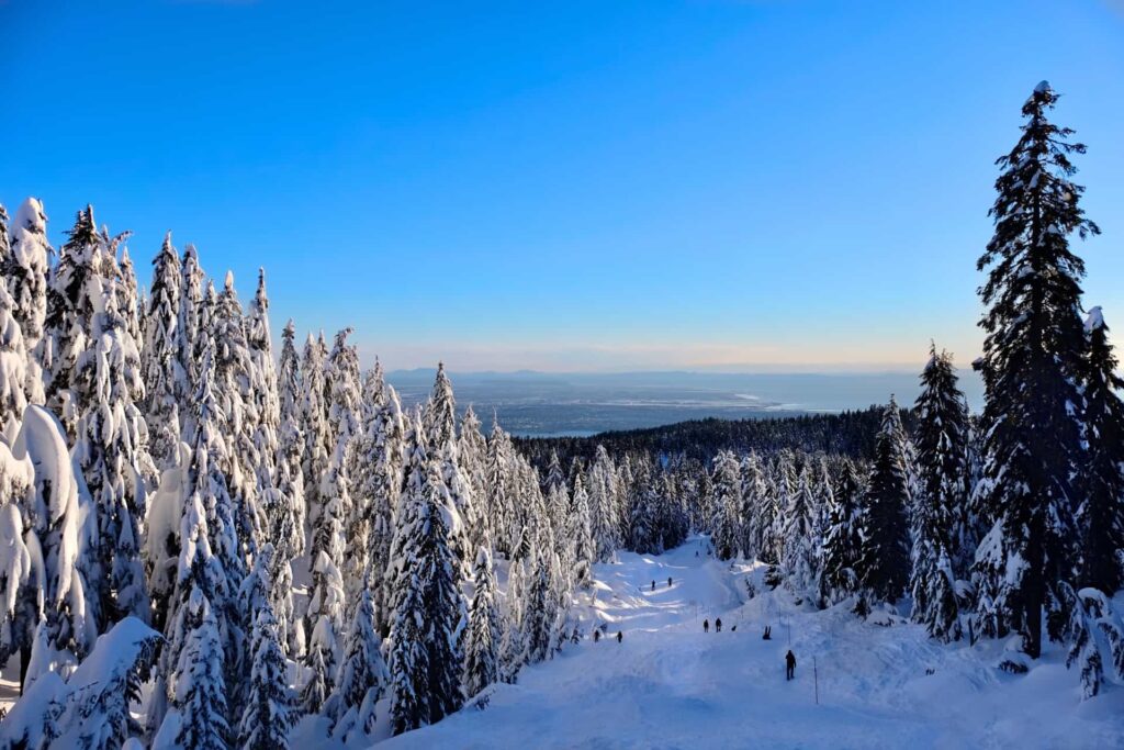 Forêt enneigée du Québec découverte lors d'une colonie de vacances à Montréal.