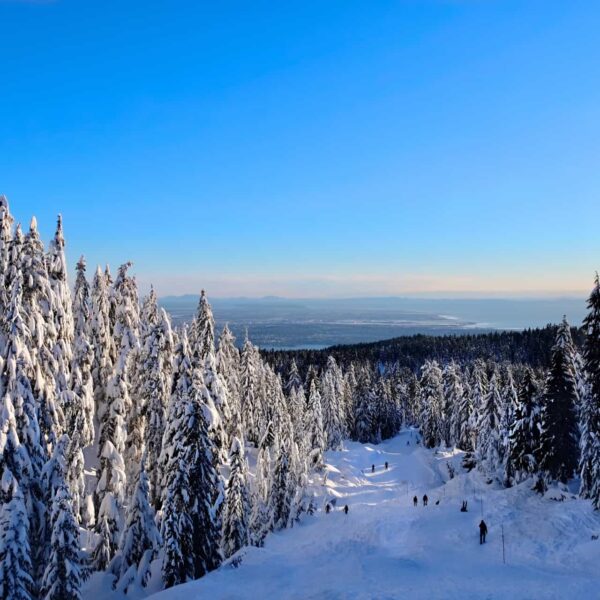 Forêt enneigée du Québec découverte lors d'une colonie de vacances à Montréal.