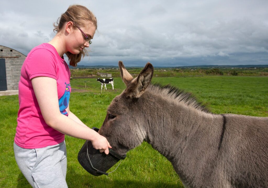 Une jeune fille portant un t-shirt rose et des lunettes nourrit un âne avec un seau noir dans une prairie verdoyante, avec une vache en arrière-plan.