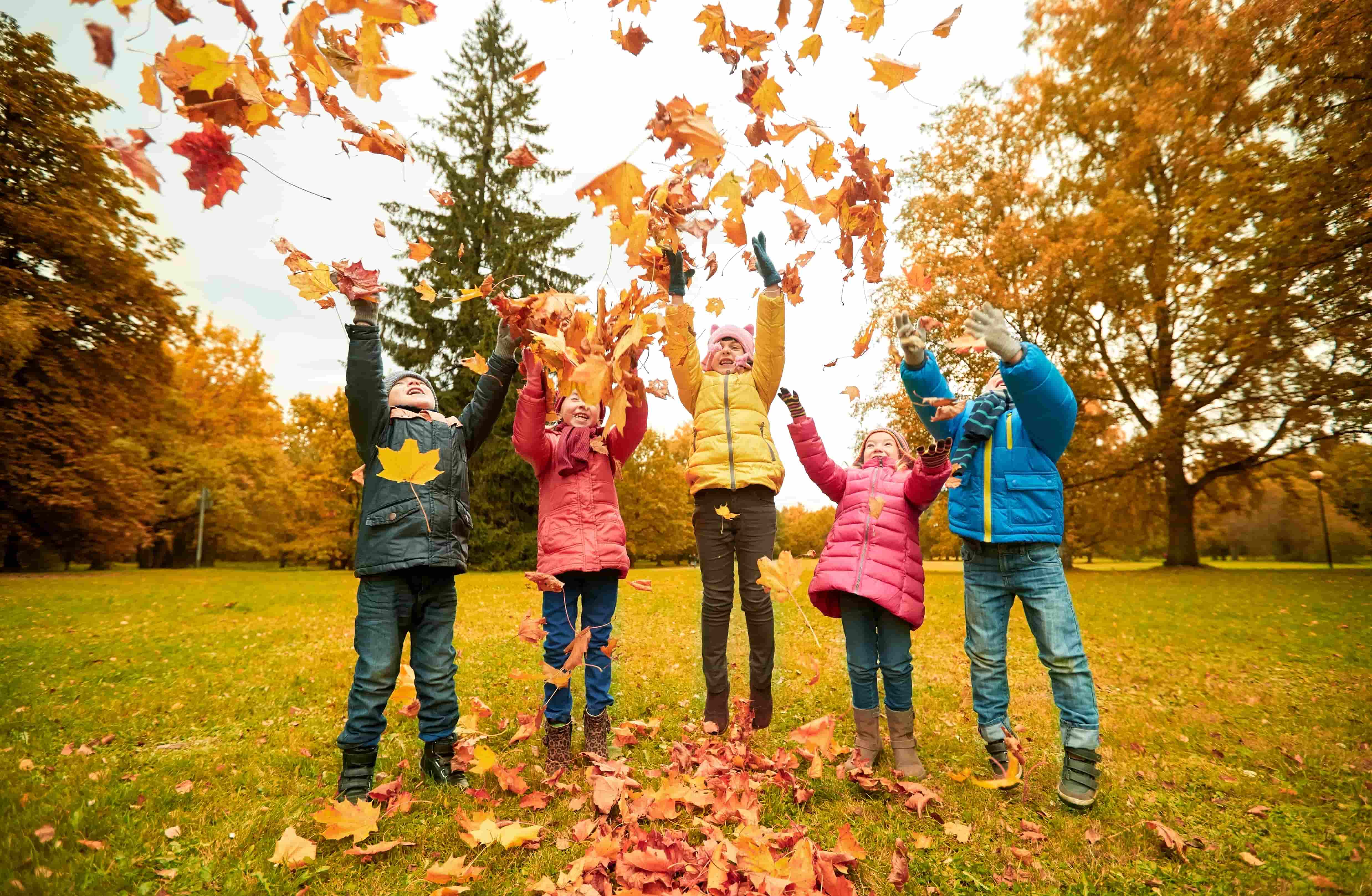 Groupe d’enfants lançant des feuilles mortes dans un parc pendant une colonie de vacances en automne.