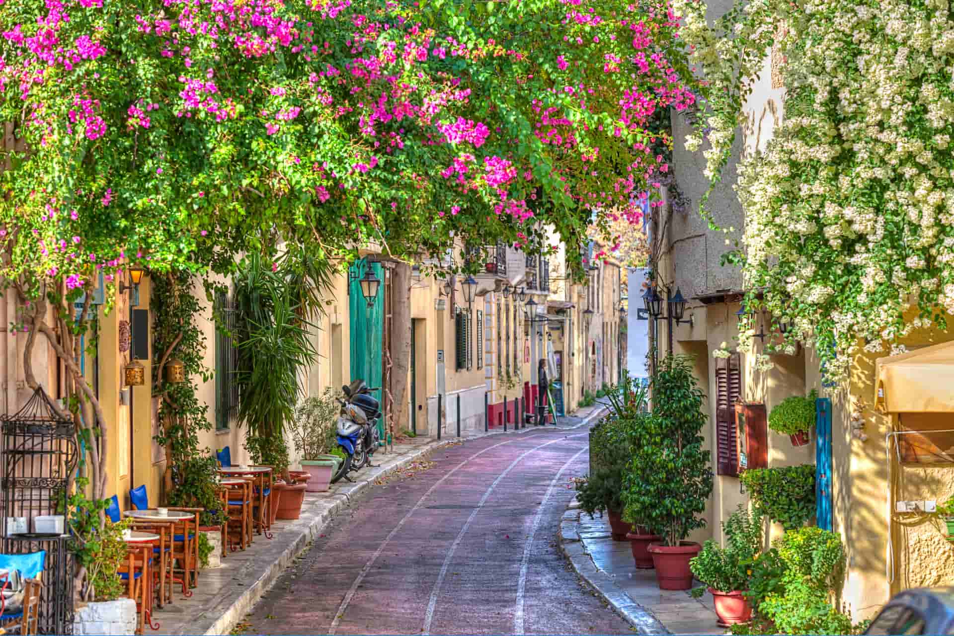 Colonie de vacances à Athènes dans les ruelles fleuries du quartier historique de Plaka