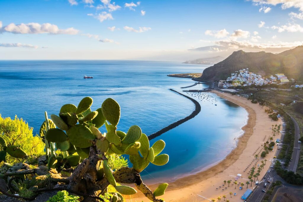 Plage et côte de Tenerife pendant un séjour linguistique aux Canaries