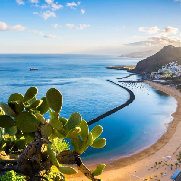 Plage et côte de Tenerife pendant un séjour linguistique aux Canaries