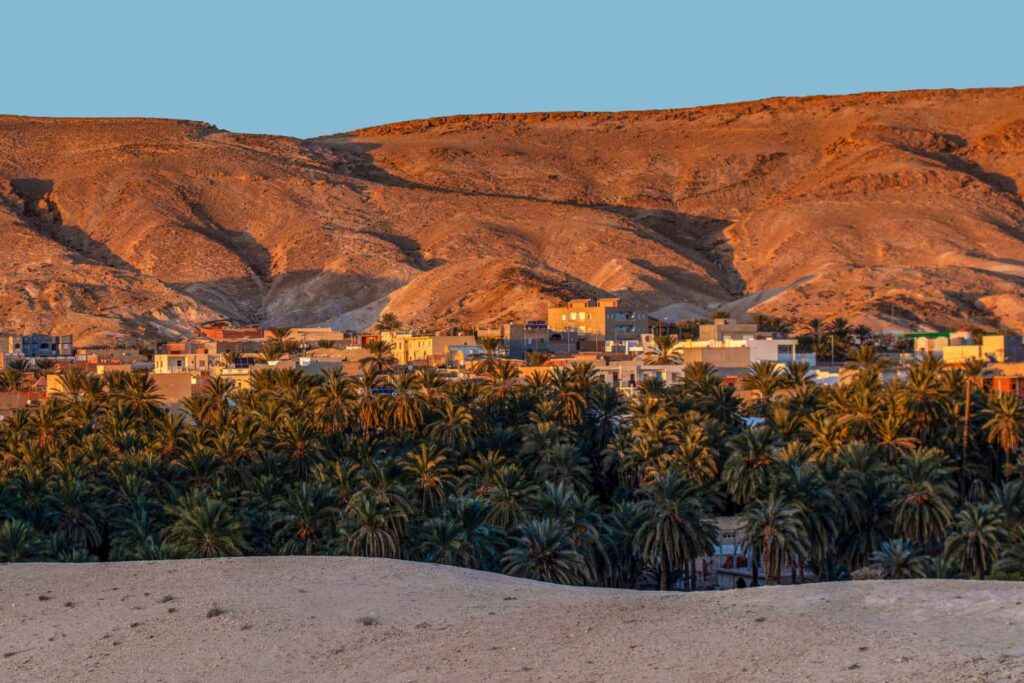 Palmeraie de Tozeur au pied des montagnes pendant une colonie de vacances en Tunisie