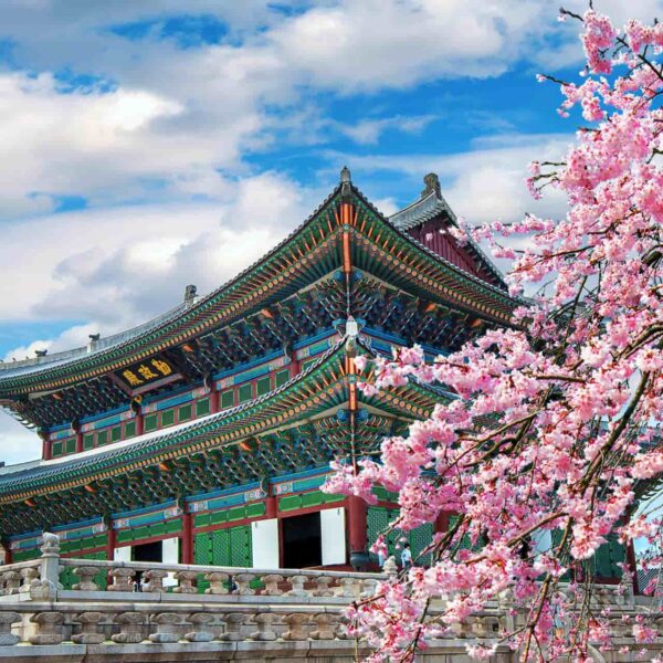 Palais Gyeongbokgung lors d'une colonie de vacances Séoul printemps.