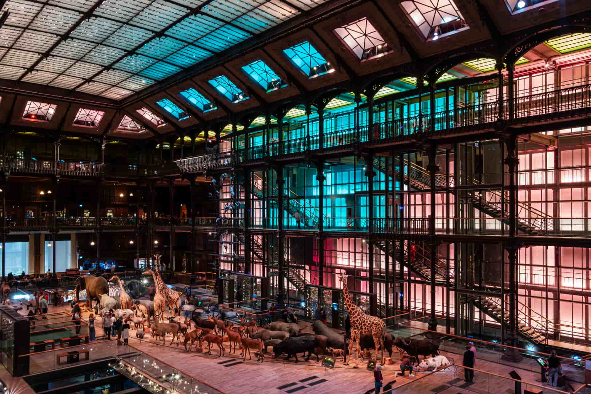 Colourful geometric buildings surrounded by gardens at the Natural History Museum in Paris