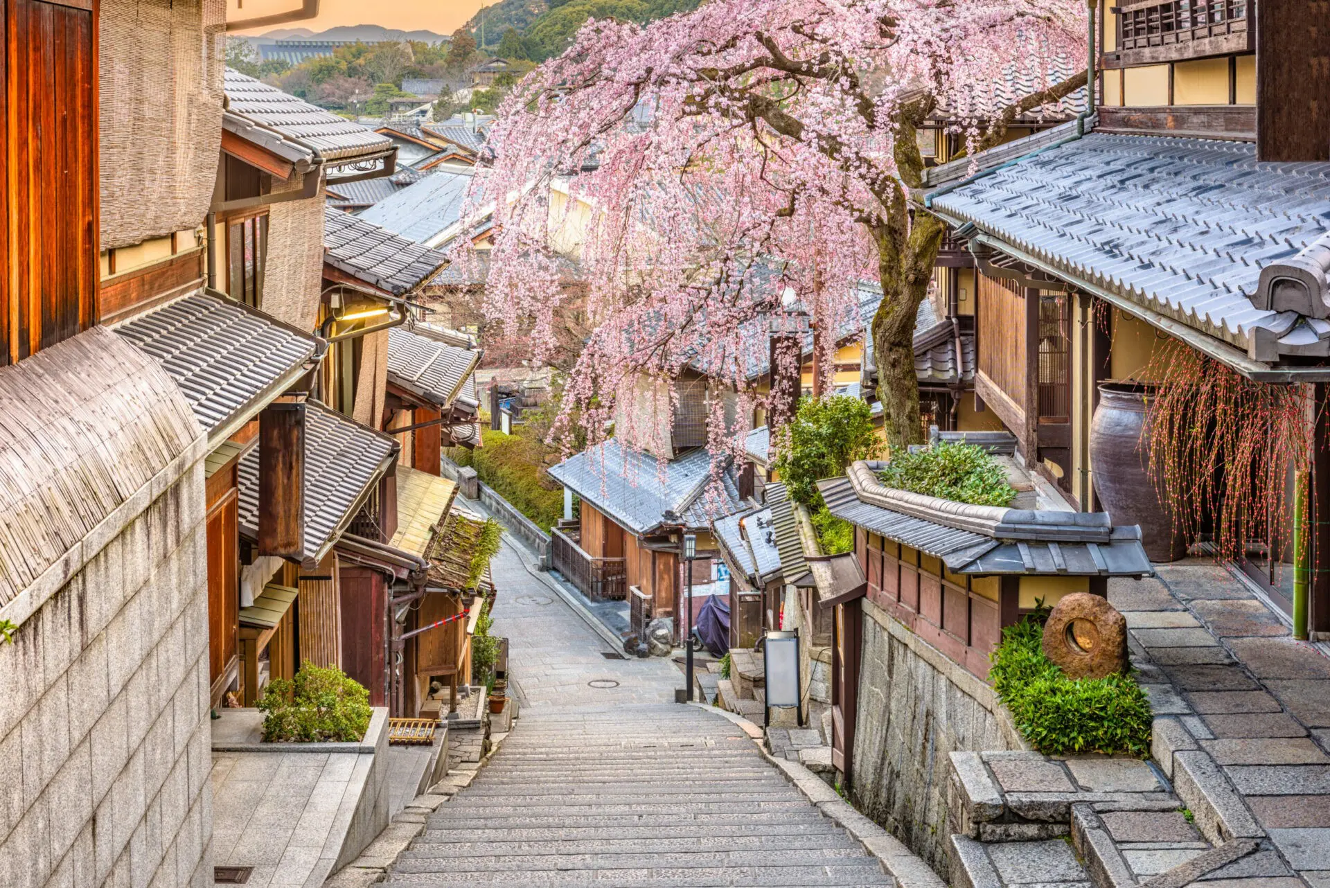 Colonie de vacances au Japon pour ados