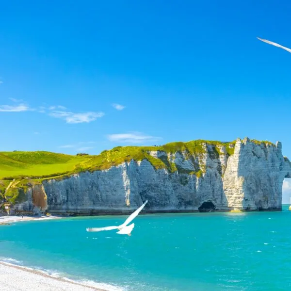 Learn English or French with a host teacher in France