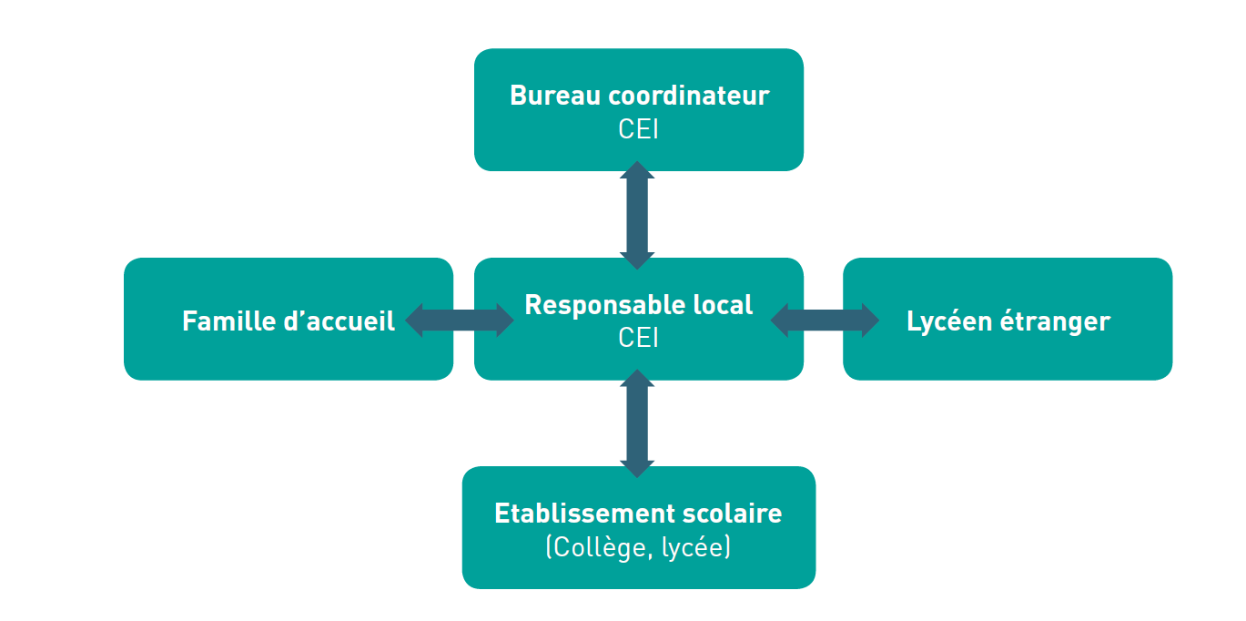 schéma du rôle du responsable local CEI