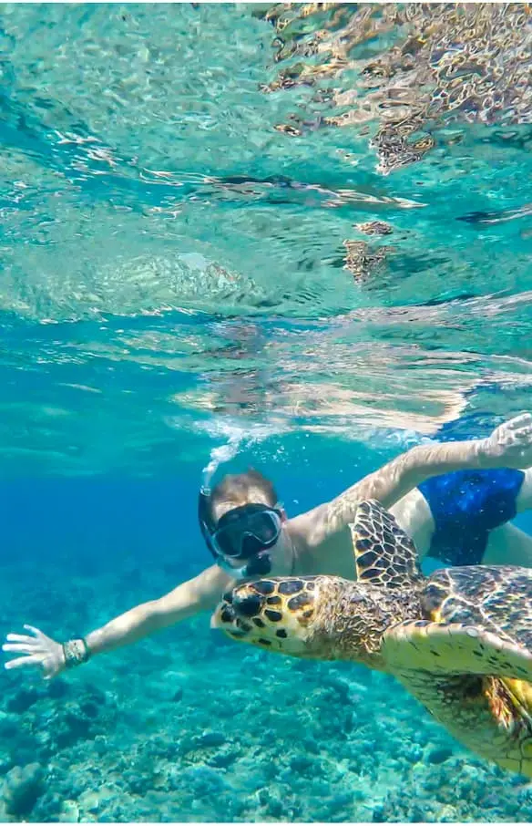 Scolarité en Australie méridionale avec le CEI