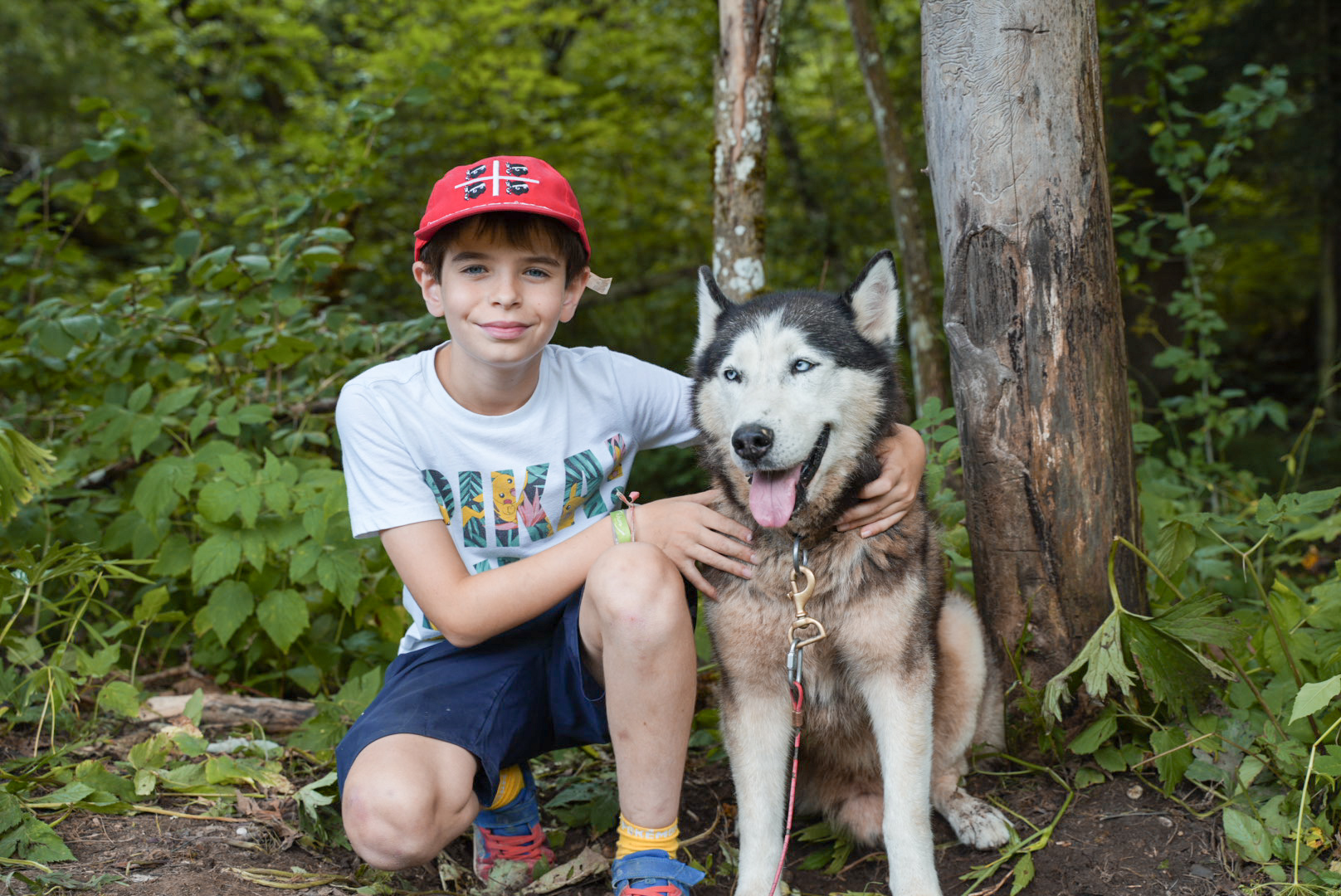Chiens des montagnes - 12 jours