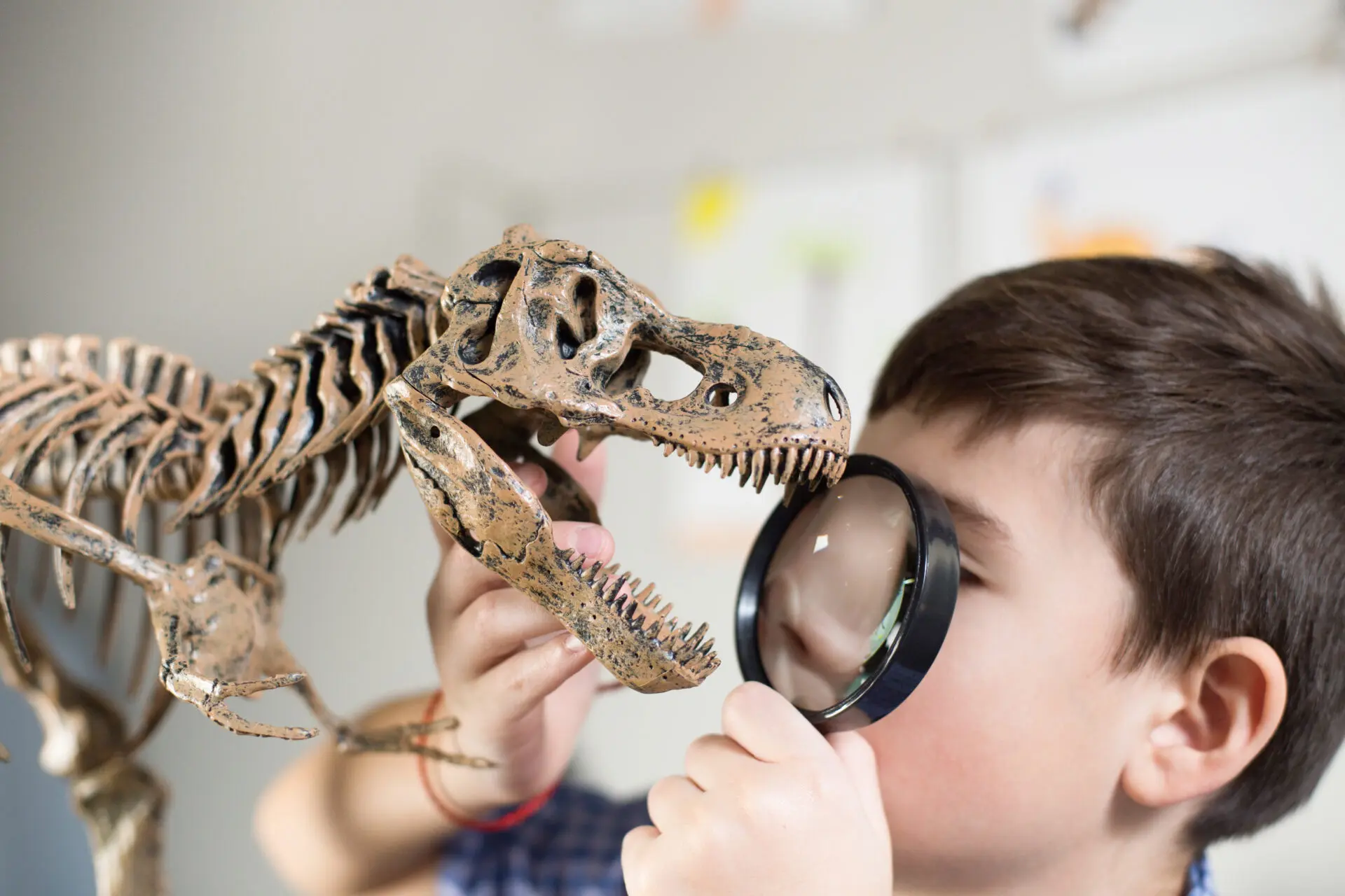 Séjour enfants sur le thème de l'aventure et des dinosaures. Séjours adaptés aux enfants entre 6 et 13 ans.