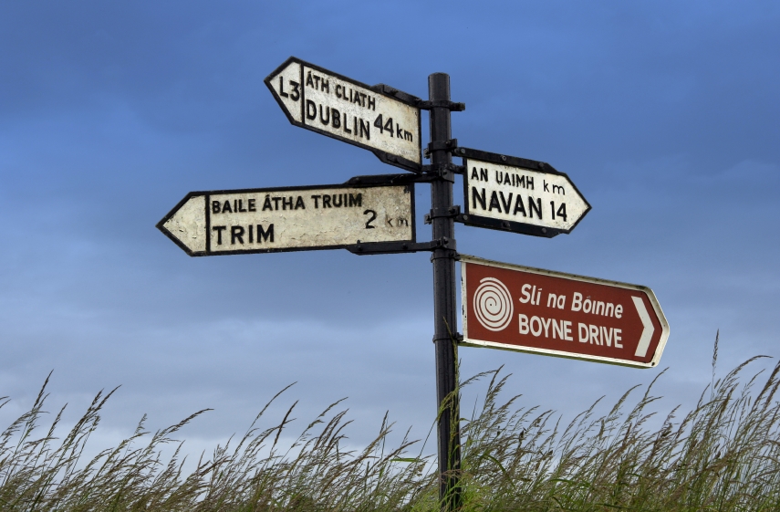 Un panneau routier en métal noir et blanc, vieilli par le temps, indique les directions vers Dublin (44 km), Trim (2 km) et Navan (14 km) en anglais et en irlandais. Un panneau marron avec une spirale celtique rouge indique "Sli na Bóinne – Boyne Drive", une route touristique célèbre en Irlande. L'enseigne est entourée d’herbes hautes, sous un ciel bleu légèrement nuageux.