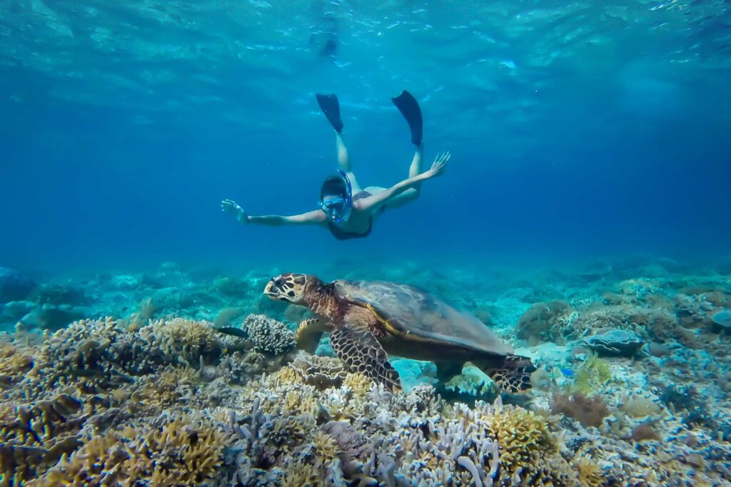 Snorkeling avec une tortue marine durant une colonie à Bali.