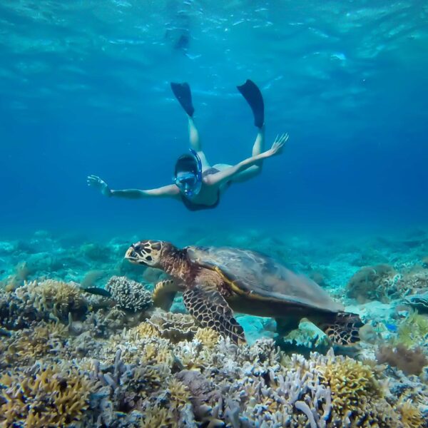 Snorkeling avec une tortue marine durant une colonie à Bali.